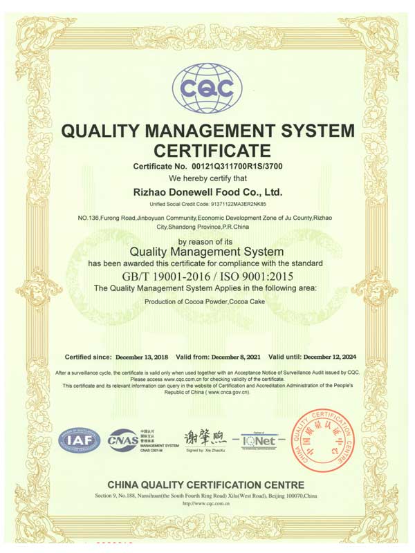 iso 9001