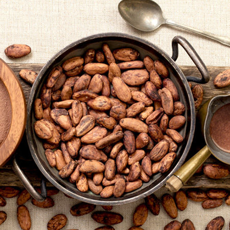 High Quality Cocoa Powder: Why Is It So Popular?