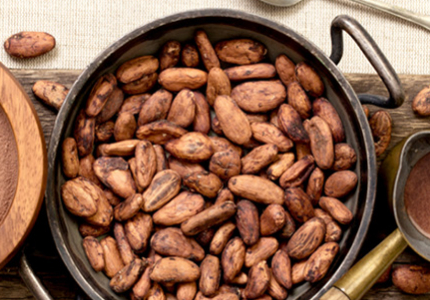 Harvesting and Post-harvest of Cocoa